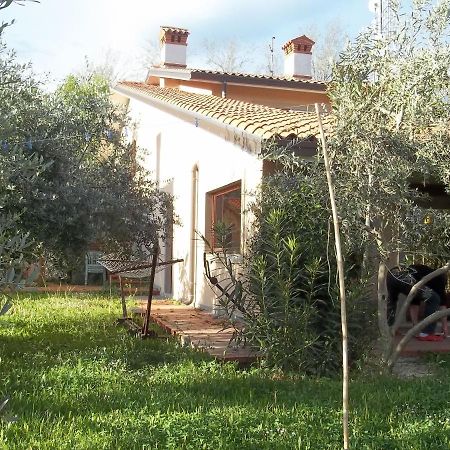 Villa Ambrosia Múggia Buitenkant foto